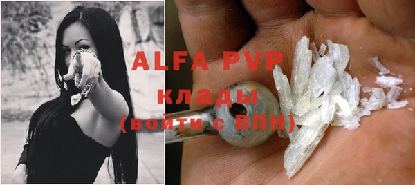метадон Алексин