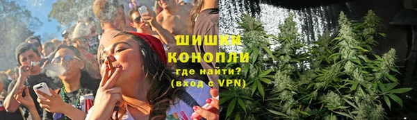 дурь Алзамай