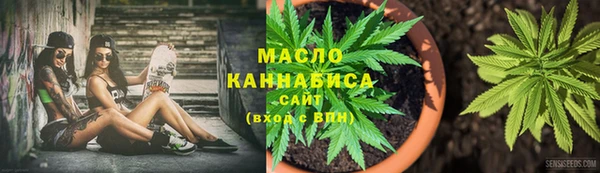 метадон Алексин