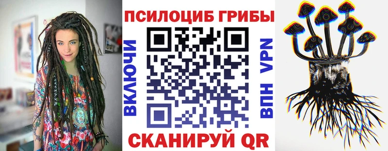 купить закладку  Мышкин  Псилоцибиновые грибы мухоморы 